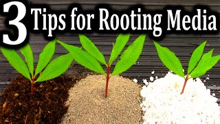 The BEST Medium for Rooting your Cuttings  3 Criteria for Successful Plant Propagation [upl. by Nylanaj707]