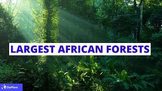 Largest Forests in Africa  Top 8 [upl. by Selestina]