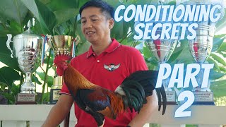 Part 2  Ang Sikreto Sa Pagkukundisyon Ng Manok Panabong [upl. by Darum386]