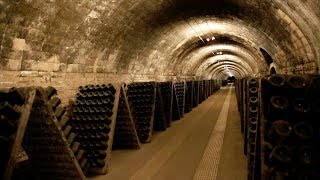 Cava Wine Tour  Sant Sadurni dAnoia Spain [upl. by Nahtnhoj133]