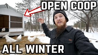 Winter Chicken Guide  NO Heat Open Air Coop amp Cold Weather Tips [upl. by Rafaellle]