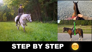 HOW TO RIDE A HORSE FOR BEGINNERS STEP BY STEP 🐎 [upl. by Normac511]