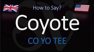 How to Pronounce Coyote  English American Pronunciation [upl. by Ninehc]