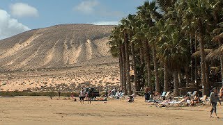 FUERTEVENTURA  Kanaren quotInselparadies für Badeurlauber und Windsurferquot CANARIAS [upl. by Shifrah]