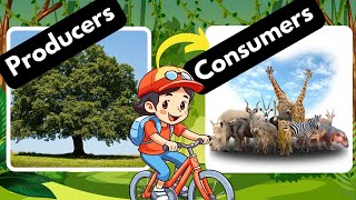 Producers and Consumers Herbivores Carnivores and Omnivores [upl. by Ihcur]