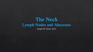 Axillary Vessels and Lymph Nodes  Dr Ahmed Farid [upl. by Sanferd736]