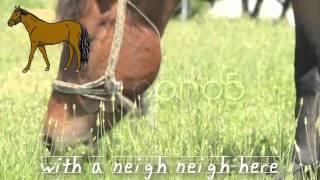 Old MacDonald Had A Farm lyrics on screen sing along [upl. by Fronnia]