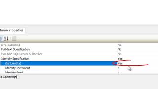 Sql server create table auto increment identity primary key [upl. by Aielam665]