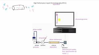 Chromatographie liquide à haute performance HPLC  Rappel théorique [upl. by Ennovihc407]