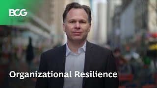 Organizational Resilience [upl. by Myk]