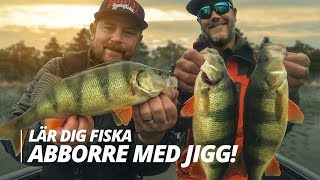 Lär dig fiska abborre med jigg  Sportfiskeprylarse [upl. by Aurelio]