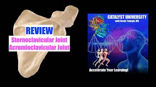 Sternoclavicular SC amp Acromioclavicular AC Joints REVIEW [upl. by Faye713]