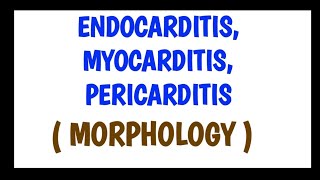 Endocarditis Myocarditis and Pericarditis  Morphology [upl. by Eenaj95]