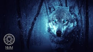 Native American Flute Music quotWolf Instinctquot Meditation Music for Shamanic Astral Projection 41804N [upl. by Jamieson]