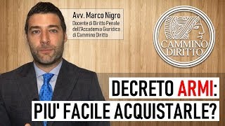 Decreto sulle armi cosa cambia per i cittadini [upl. by Abate467]