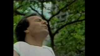 Julio Iglesias  Coraçao apaixonado [upl. by Lyreb]