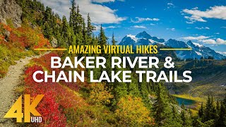 4K Virtual Hike Near River through the Forest  Baker River Trail amp Chain Lake Trail [upl. by Doownelg]