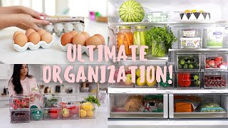 ULTIMATE Fridge Organization IN 5 Easy Steps MissLizHeart [upl. by Arbua364]