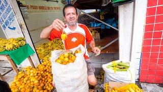 Tour of Manaus Brazil  Biggest City in AMAZON RAINFOREST  Wild Fruit Attractions and Dinner [upl. by Seth84]