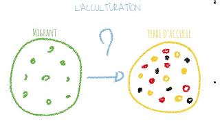 Lacculturation [upl. by Homer48]