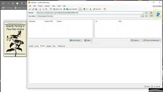 Using Cyrotek WebCopy [upl. by Ayerdna]