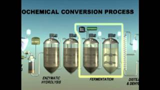 Biochemical Enzymatic Hydrolysis [upl. by Enidlarej917]