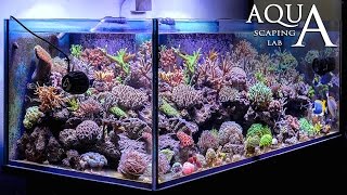 Aquascaping Lab  Elementi base e funzionamento dell acquario marino [upl. by Maximilien]