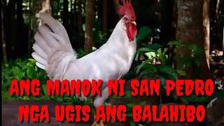 Ang Manok ni San Pedro by Max Surban [upl. by Ateiram960]