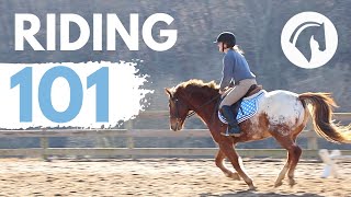 HOW TO RIDE A HORSE EASY BEGINNERS GUIDE [upl. by Loleta]