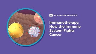 Immunotherapy How the Immune System Fights Cancer [upl. by Bisset]