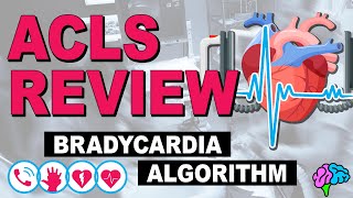 Bradycardia  ACLS Review [upl. by Danit]