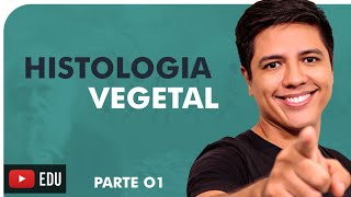 HISTOLOGIA VEGETAL PARTE 01  BOTÂNICA  Prof Kennedy Ramos [upl. by Cohen]