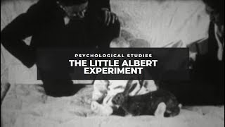 The Little Albert Experiment [upl. by Irbua449]