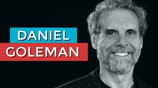 DANIEL GOLEMAN E A INTELIGÊNCIA EMOCIONAL  RODRIGO FONSECA [upl. by Joannes]