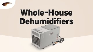 WholeHouse Dehumidifiers [upl. by Bekha]