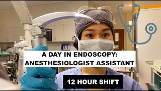 A day as an Anesthesiologist Assistant in EndoscopyGI [upl. by Truitt]