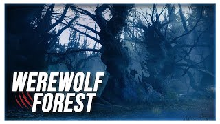 Werewolf amp Wind Ambience  Forest Sounds Werewolf Sounds Sleeping Reading Relaxation [upl. by Atnovart657]