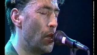 Wieder hoam  Hubert von Goisern live 1994 [upl. by Bennir543]