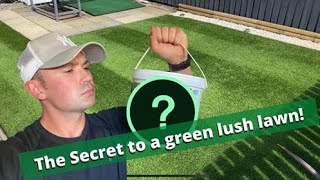 The Secret To a Lush Green Lawn  Iron Sulphate [upl. by Hulbig]