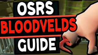 The Ultimate Bloodvelds Guide Old School Runescape [upl. by Calabrese142]