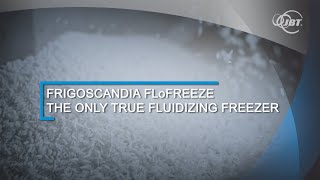 Frigoscandia FLoFREEZE® IQF  the only true fluidizing freezer [upl. by Pawsner669]