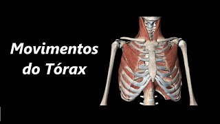 Movimentos do Tórax em 3D [upl. by Junina]