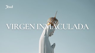 Virgen Imaculada Lyric Video [upl. by Holzman]