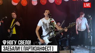 Ногу Свело  Заебали Live  ПартизанФест [upl. by Noslrac]