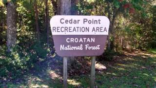 Cedar Point Campgrounds Great Camping at North Carolina Coast [upl. by Akkinahs]