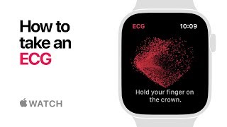 Apple Watch Series 4 — How to take an ECG — Apple [upl. by Galanti]