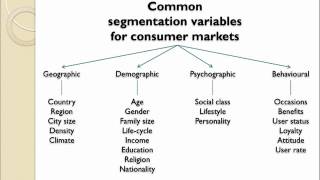 Market Segmentation Introduction [upl. by Hcnarb629]