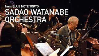 quot渡辺貞夫 SADAO WATANABE ORCHESTRAquot BLUE NOTE TOKYO Interview amp Live Streaming 2020 [upl. by Dorena]