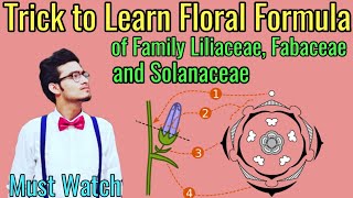 Trick to Write Floral Formulas of Family Fabaceae Solanaceae amp Liliaceae  Morphology via NCERT [upl. by Selegna898]