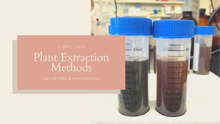 Plant Extraction Methods  Decoction and Maceration  JPTV [upl. by Eitnom]